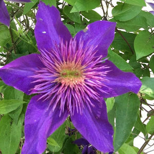 Meet your Posher, Alexandrea